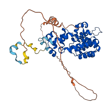 MTERF3 3D structure
