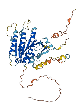 ELP4 3D structure