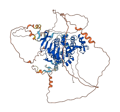SIRT1 3D structure