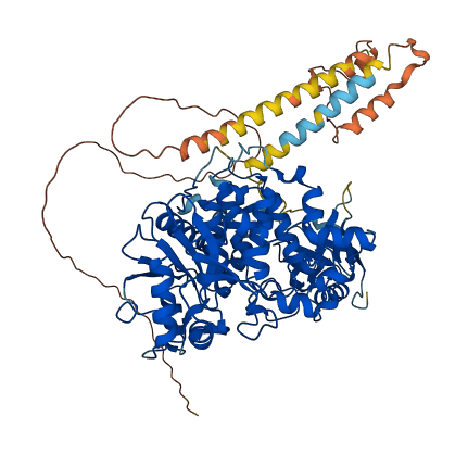 MTMR8 3D structure