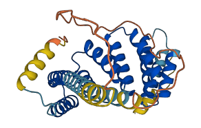 ZHX1-C8orf76 3D structure