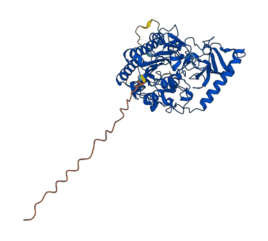 ARSG 3D structure