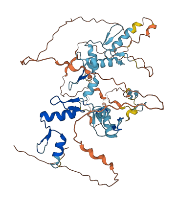 ZNF837 3D structure