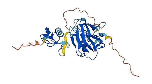 NEURL3 3D structure