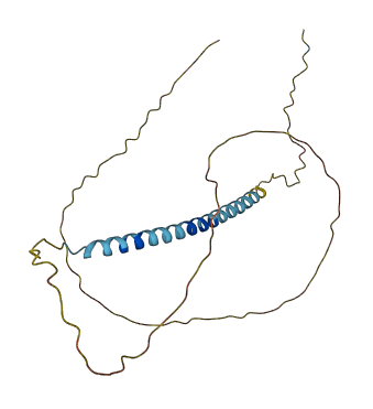 TCEAL4 3D structure