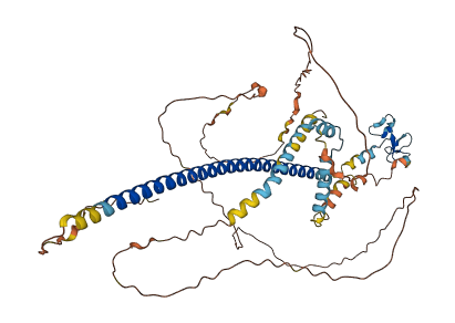 PHF21B 3D structure
