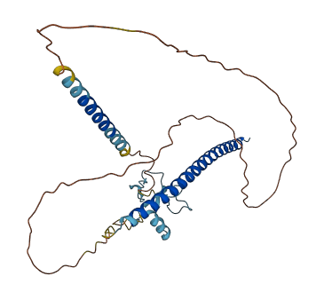 THAP11 3D structure