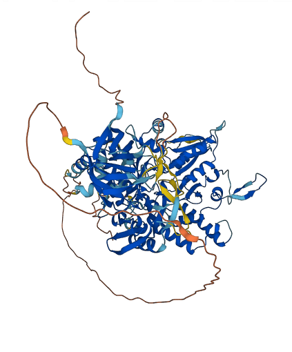 MOCOS 3D structure