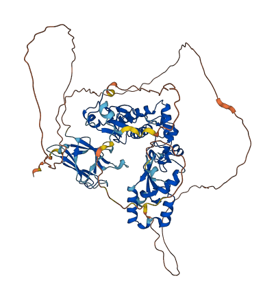 CHFR 3D structure