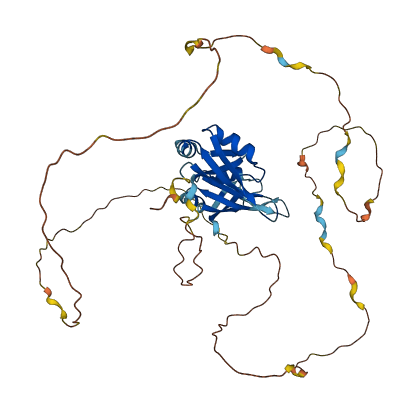 DAZAP1 3D structure