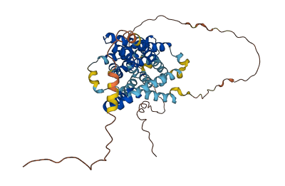 SLC10A4 3D structure