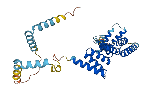 SGTB 3D structure