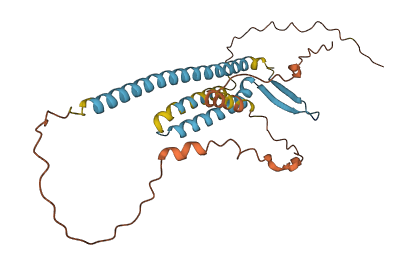 TVP23C 3D structure