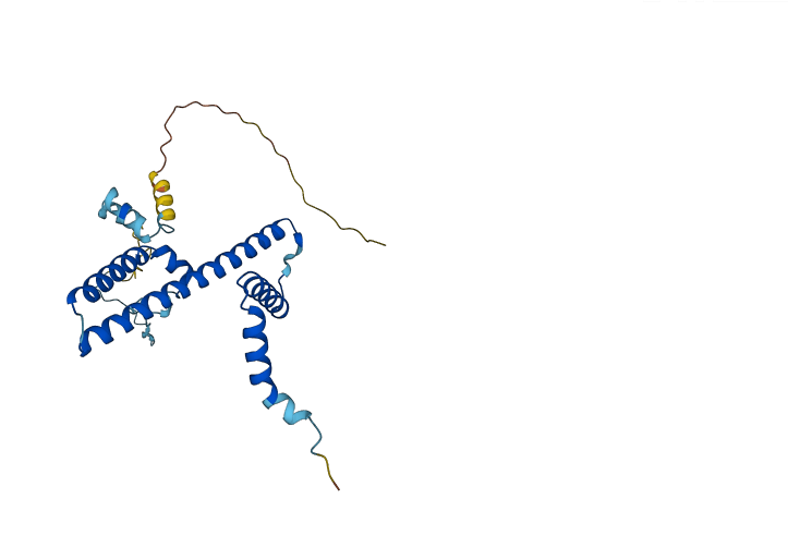RRP36 3D structure
