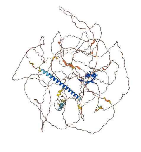 RBM33 3D structure