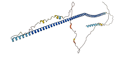 DTNBP1 3D structure