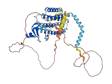 RNFT2 3D structure