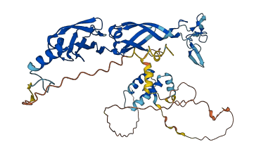 DNAJA3 3D structure