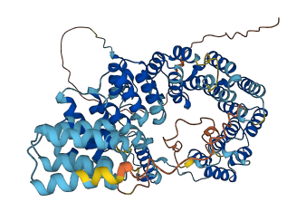 PTCD3 3D structure
