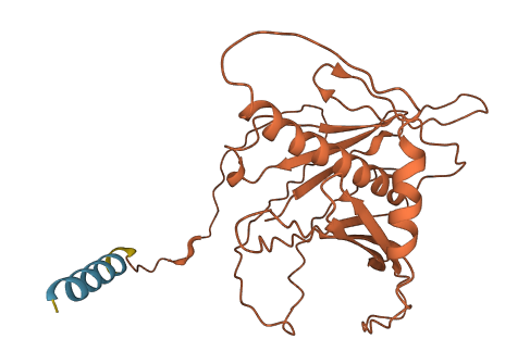 MYEOV 3D structure