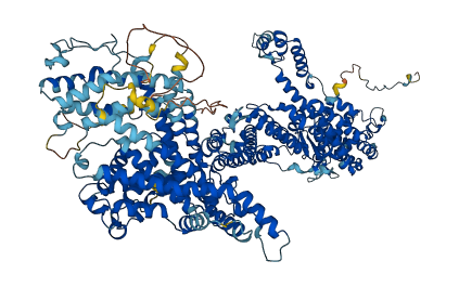 CYFIP2 3D structure