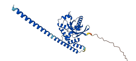GIMAP5 3D structure
