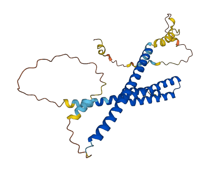 NRBF2 3D structure