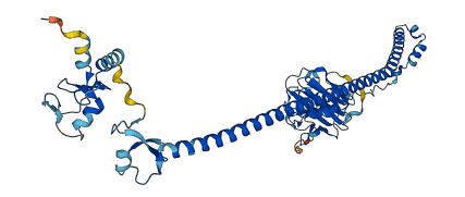 TRIM11 3D structure
