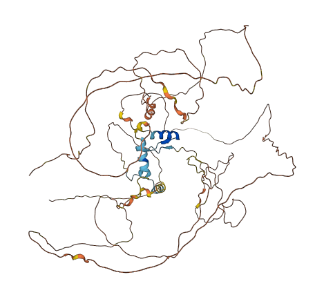 ZNF503 3D structure