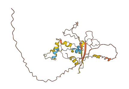 CLBA1 3D structure