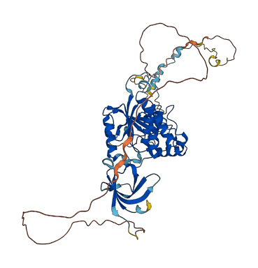 EDC3 3D structure