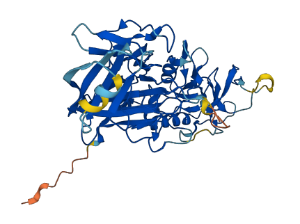 PELI1 3D structure
