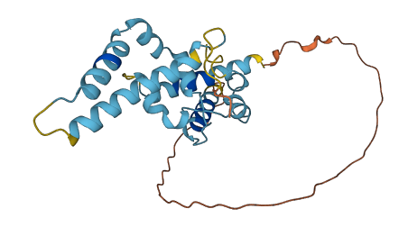 ZBED6CL 3D structure