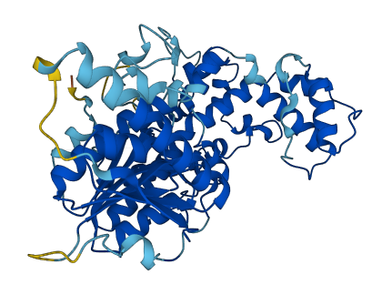 RRNAD1 3D structure