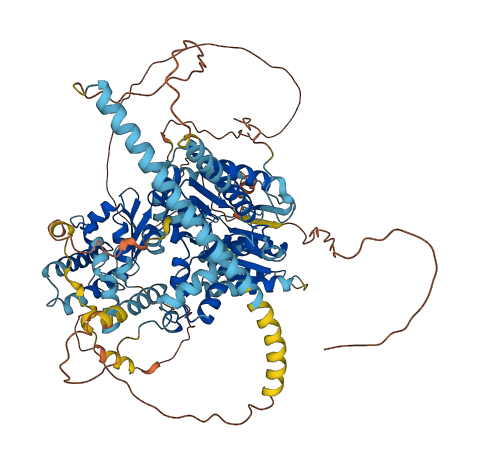 DDX11 3D structure