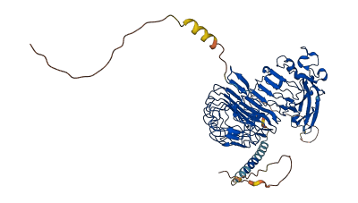 LINGO1 3D structure