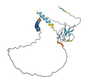PIK3IP1 3D structure