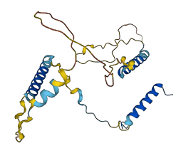 MISP3 3D structure