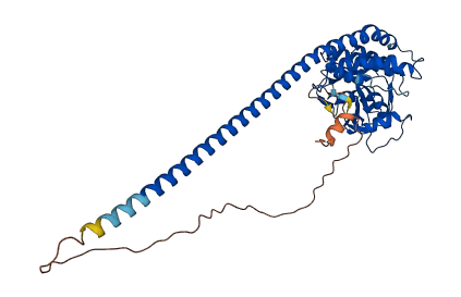 STAMBPL1 3D structure