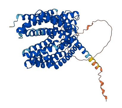 SLC47A1 3D structure