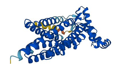 PGAP3 3D structure
