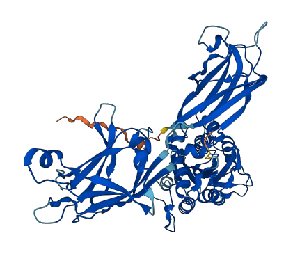 CPNE2 3D structure