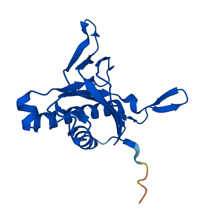 DTD2 3D structure