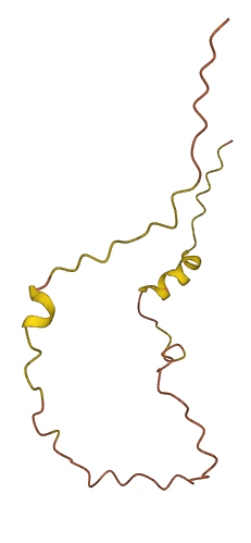 LINC00526 3D structure