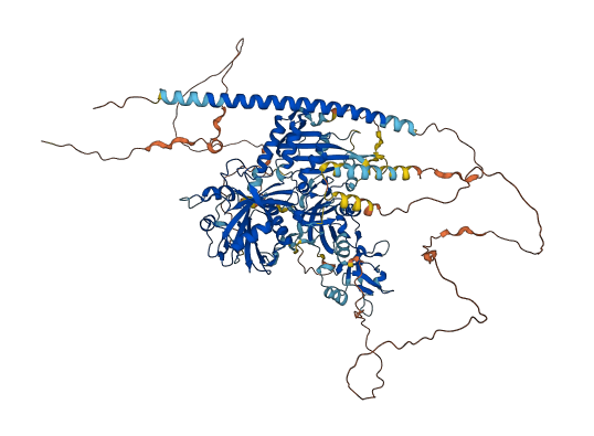 SIPA1 3D structure