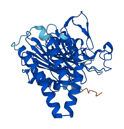 SCRN2 3D structure