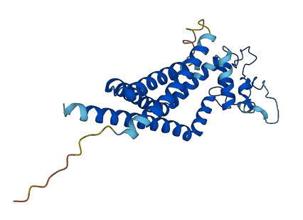 TSPAN17 3D structure