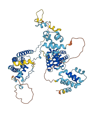THOC1 3D structure