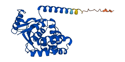OTUB1 3D structure