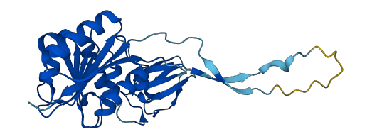 TRMT61A 3D structure
